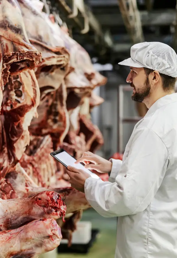 andes-srl-macellazione-e-appalti-carni-italia